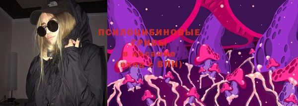 ГАЛЛЮЦИНОГЕННЫЕ ГРИБЫ Белоозёрский