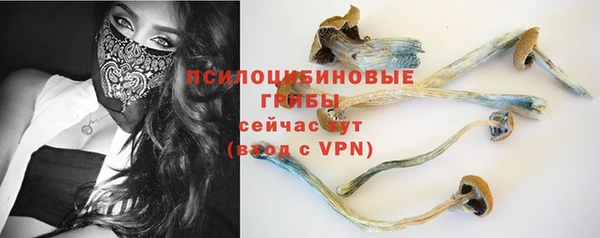 дживик Балахна