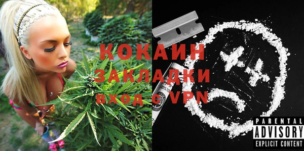 молекула духа Белокуриха