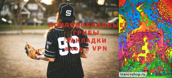 ГАЛЛЮЦИНОГЕННЫЕ ГРИБЫ Белоозёрский