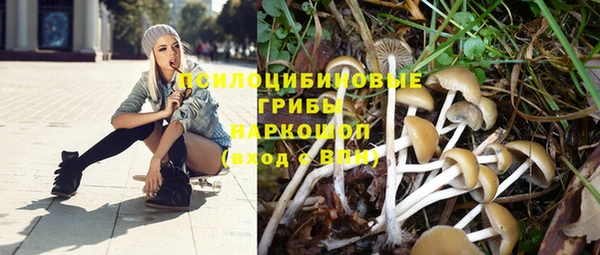 молекула духа Белокуриха