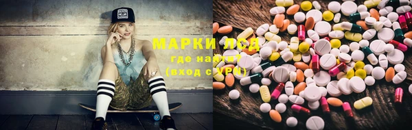 ГАЛЛЮЦИНОГЕННЫЕ ГРИБЫ Белоозёрский