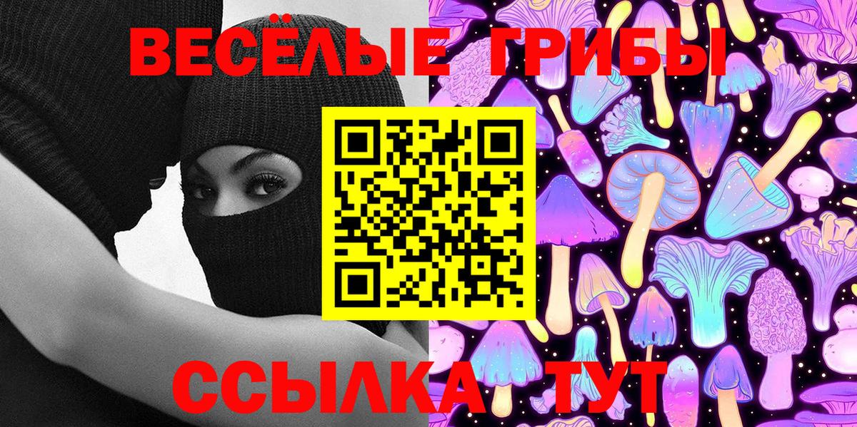 Псилоцибиновые грибы GOLDEN TEACHER  Вход с VPN  Кунгур 