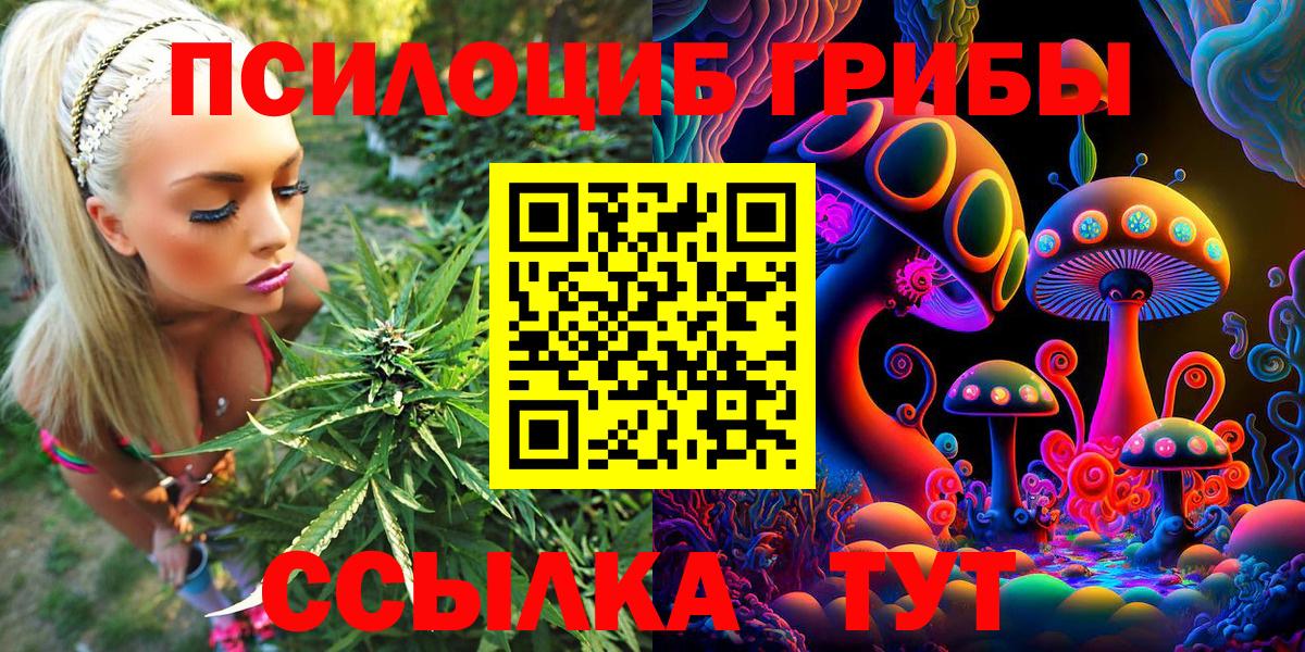 Псилоцибиновые грибы MAGIC MUSHROOMS Кунгур